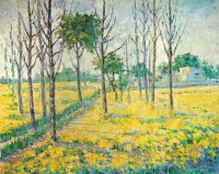 Sabiha Nasar-ud-deen, Mustard Fields,  24 x 30 Inch, Oil with knife on Canvas, Landscape Painting, AC-SBND-004